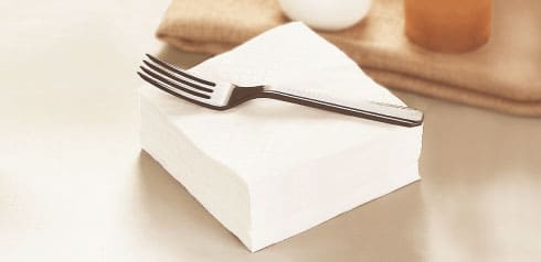 Malaysian supplier of jumbo roll tissue for industrial use